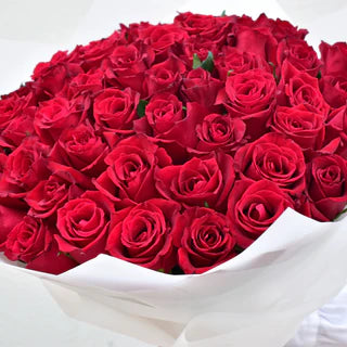 I Love You Red Roses